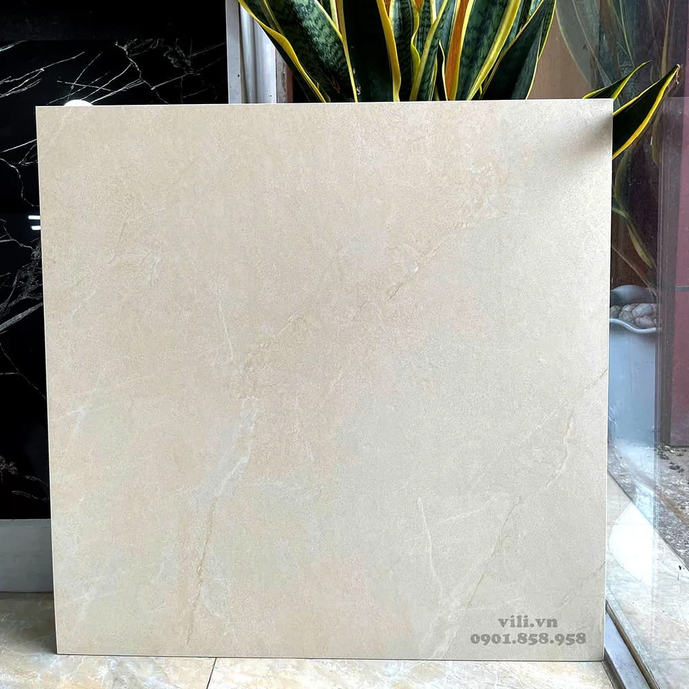 Gạch lát nền 60X60 Viglacera 6642SM đá mờ