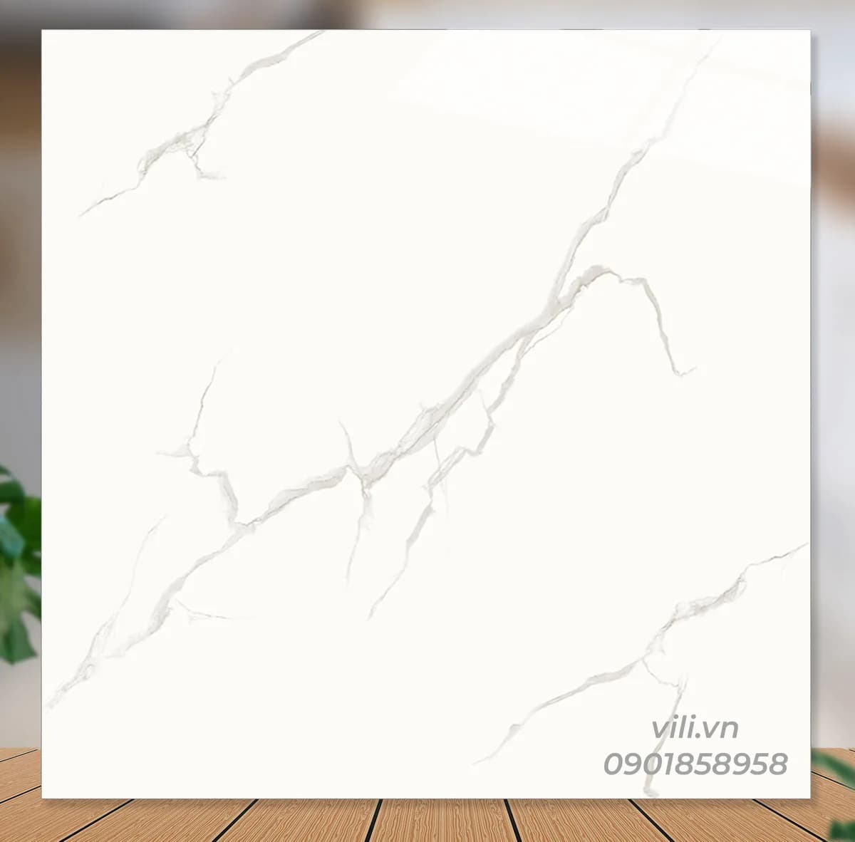 Gạch lát nền 60X60 Catalan 69058 đá bóng