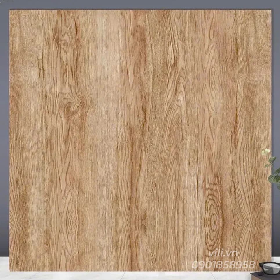 Gạch lát nền 60X60 TTC CM66203 men mờ