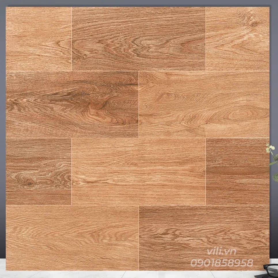 Gạch lát nền 60X60 TTC FM66205 men mờ