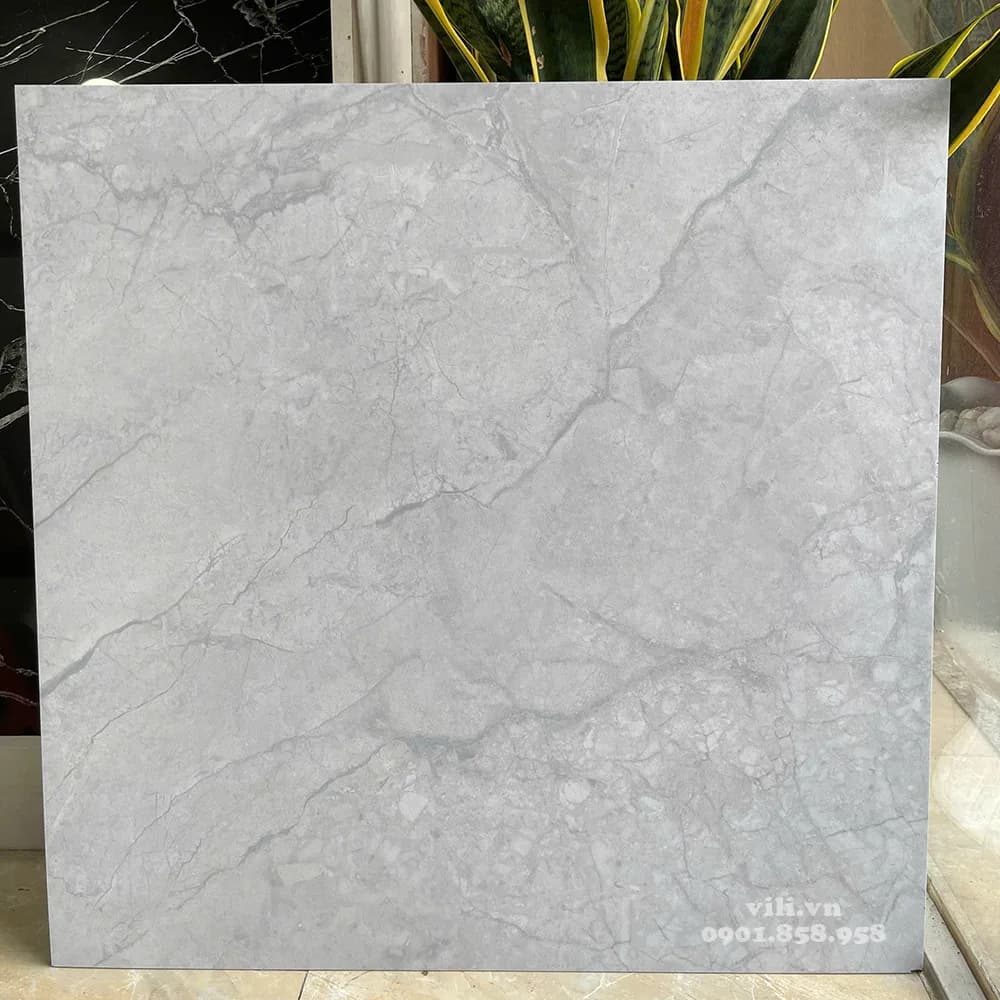 Gạch lát nền 60X60 Feliz FV66205Y đá mờ