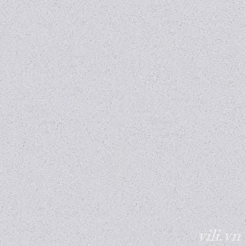 Gạch lát nền 60X60 Prime 9721 men mờ