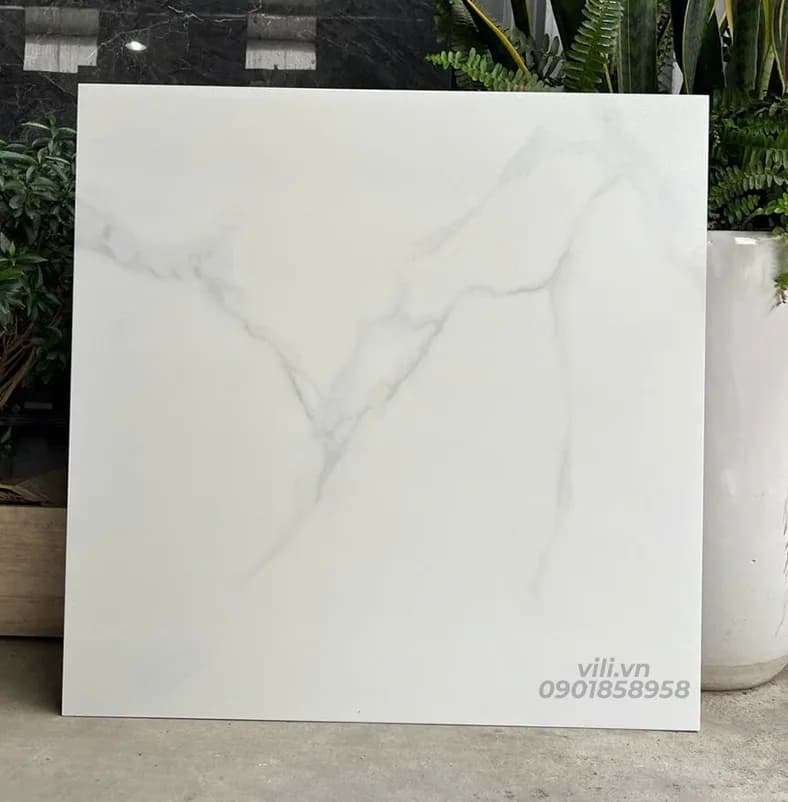 Gạch  Lát Nền 60X60 SMM66010 đá mờ