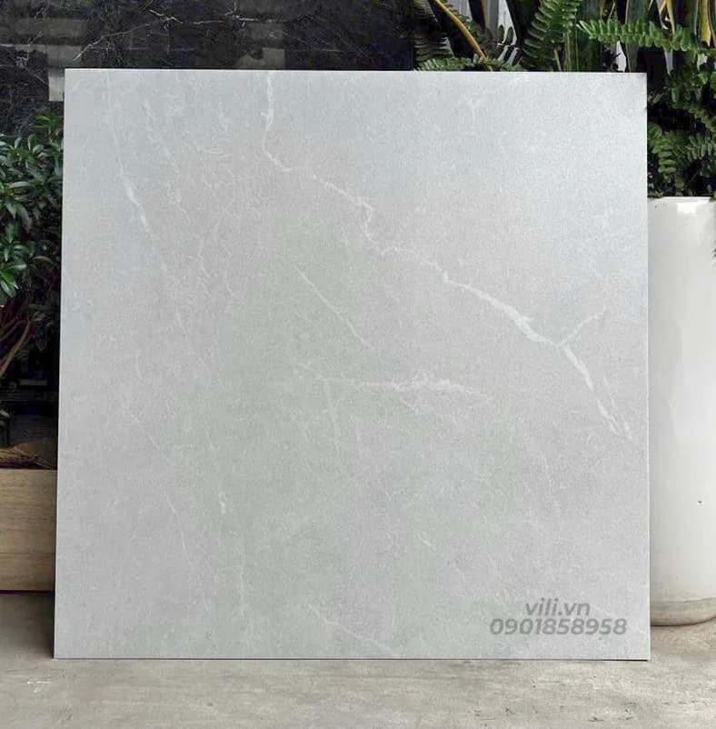Gạch  Lát Nền 60X60 SMM66011 đá mờ