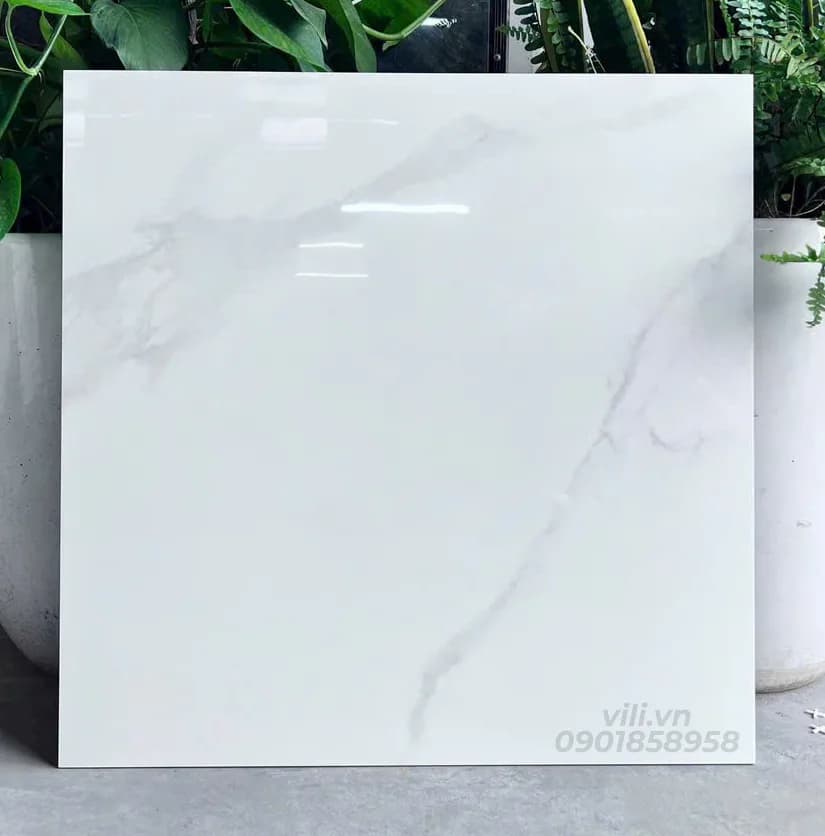 Gạch lát nền 60X60 đá bóng SMP66010