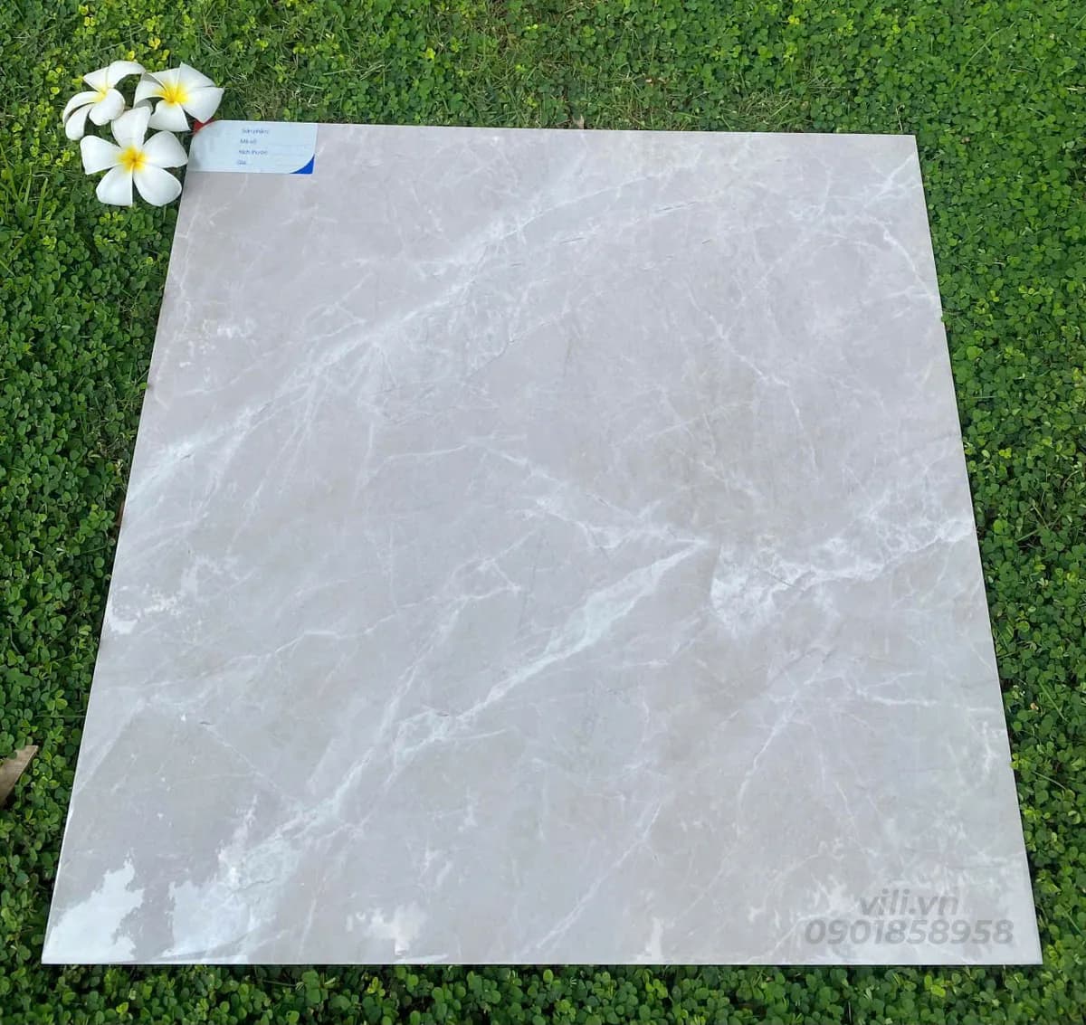 Gạch lát nền 60X60 đá bóng TTB606B