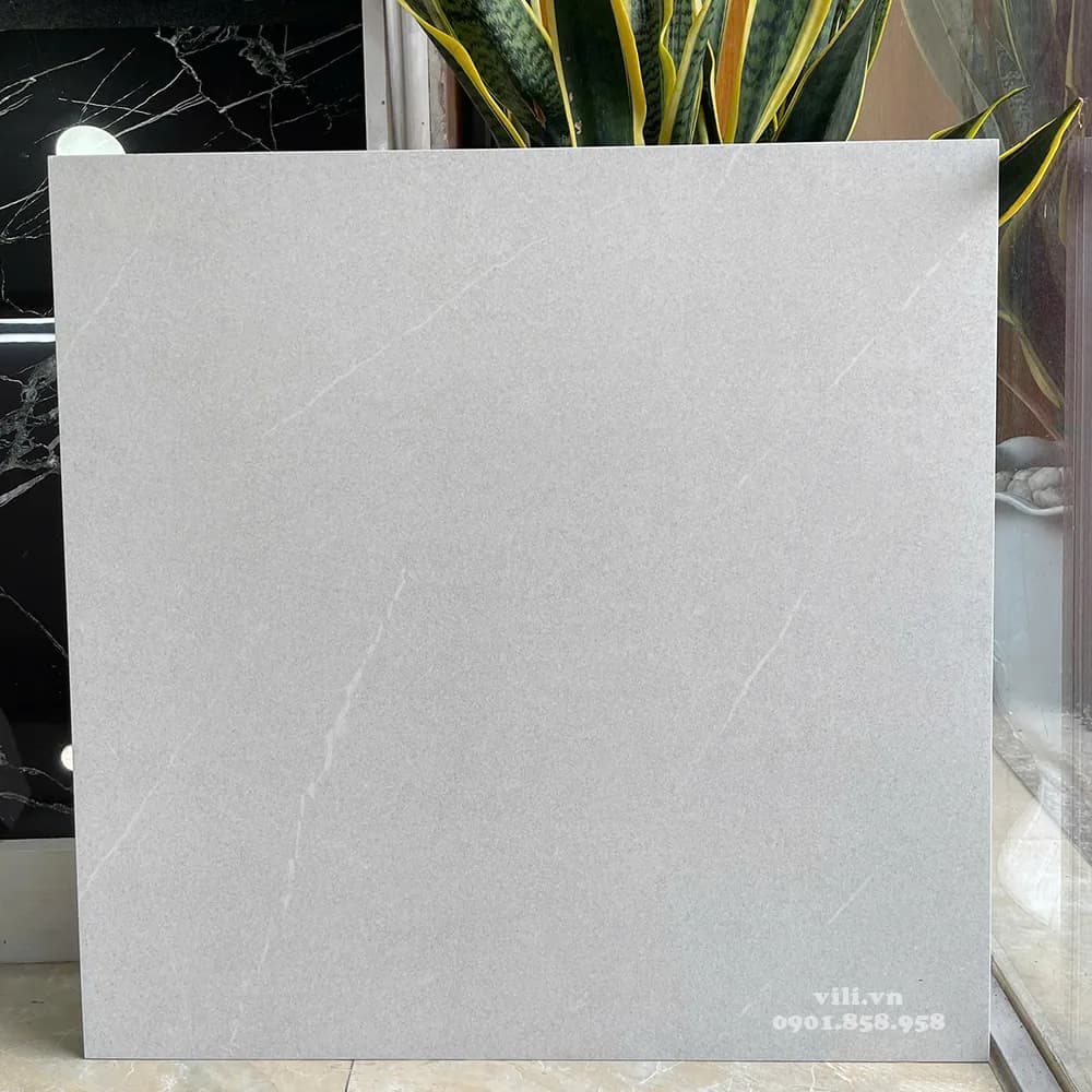 Gạch lát nền 60X60 Viglacera VHP6609 đá mờ