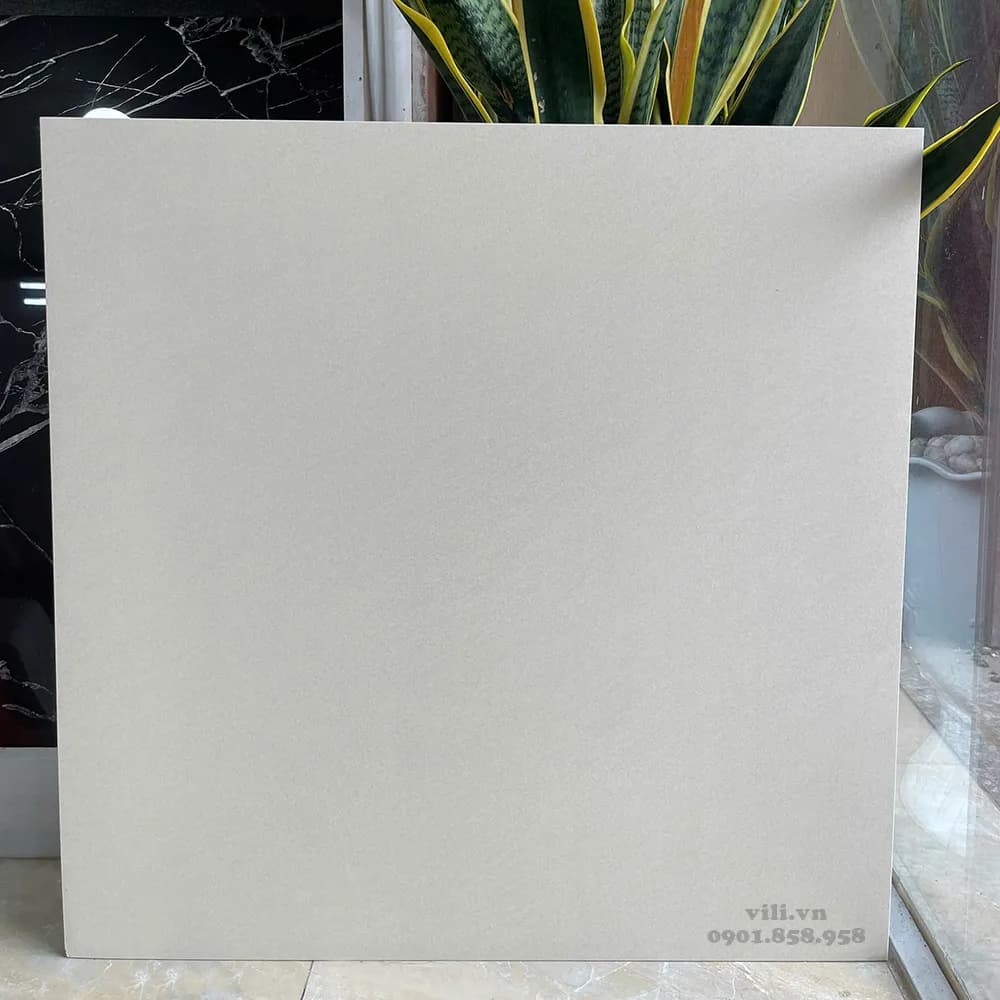 Gạch lát nền 60X60 Viglacera 6641SM đá mờ