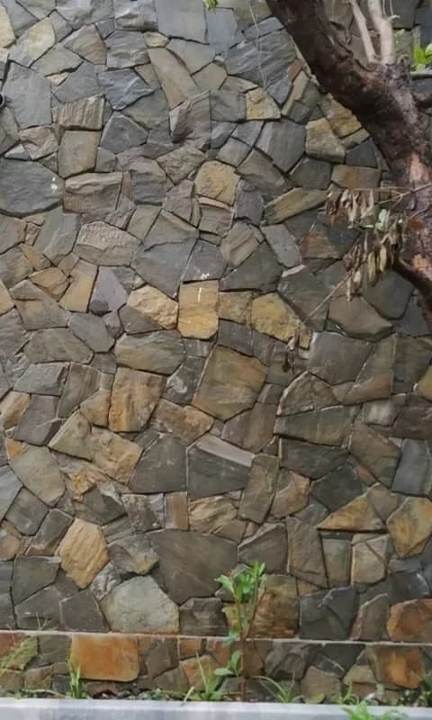 Đá rối vàng ốp tường trang trí (Bao)