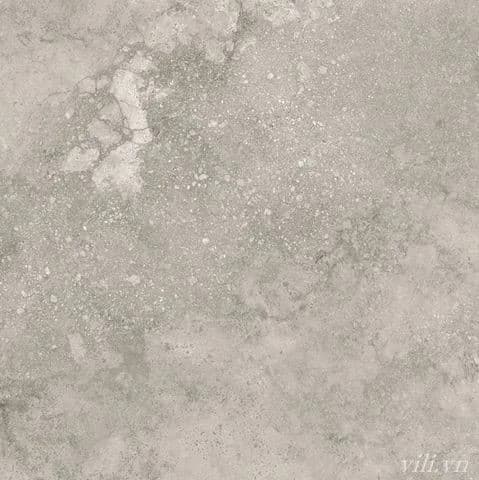 Gạch lát nền 60X60 Blue Dragon 11603 đá mờ