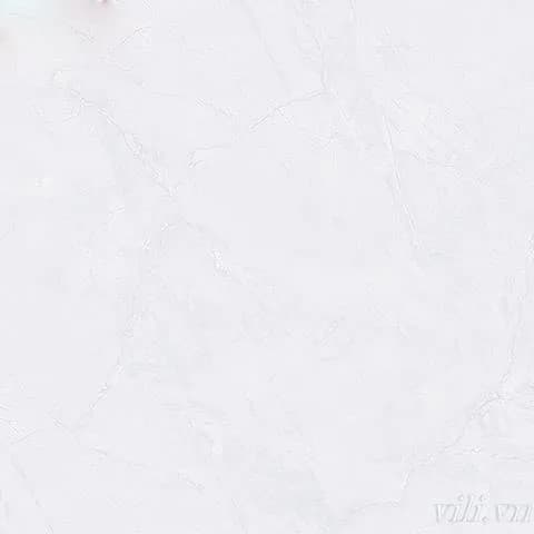 Gạch lát nền 60X60 Hoàn Mỹ PE 8328 đá bóng