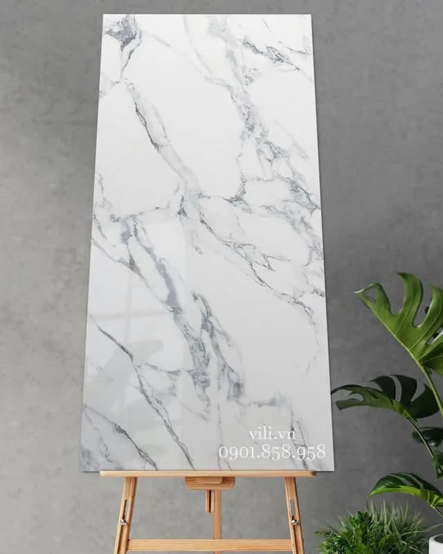 Gạch lát nền Feliz 80X160 VI6_9GP81601 bóng cao cấp