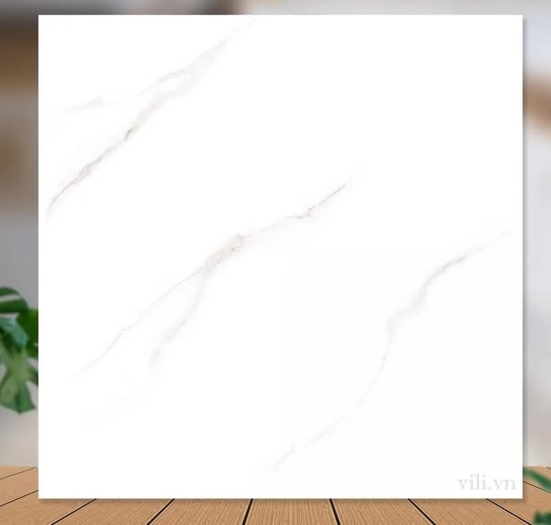 Gạch lát nền 80X80 Catalan 85001 đá bóng trắng vân mây