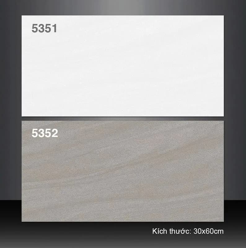 Gạch ốp tường 30X60 Tasa 5351 - 5352 đá mờ