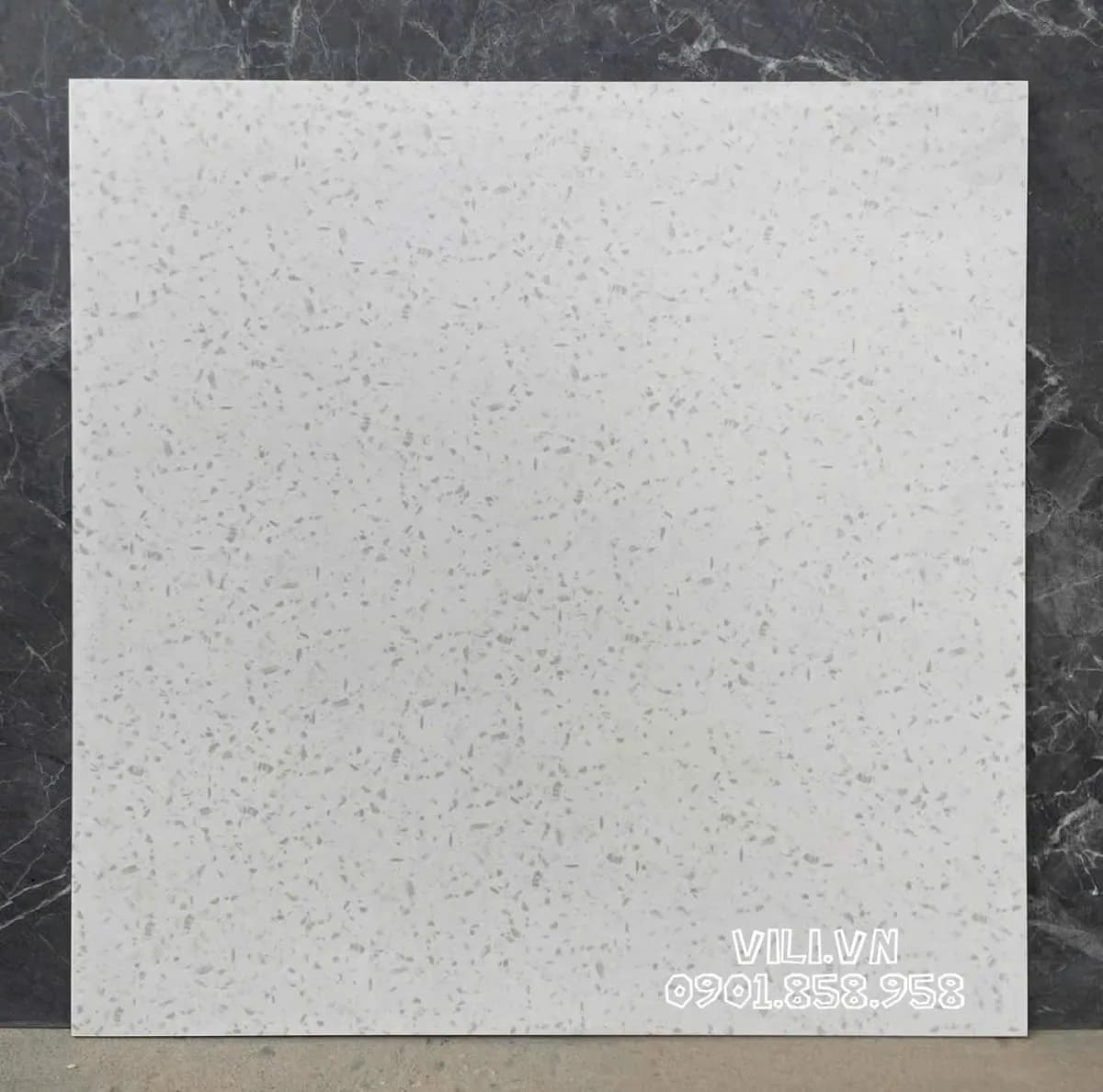 Gạch lát nền Terrazzo 60X60 S6002 đá mờ nhám