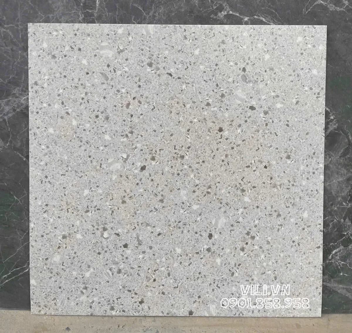 Gạch lát nền terrazzo 60X60 S6031 đá mờ nhám