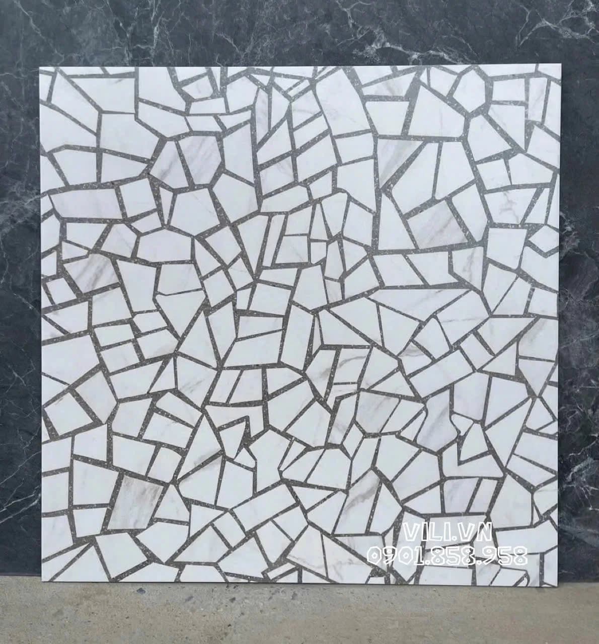 Gạch lát nền terrazzo 60X60 S6037 đá mờ nhám