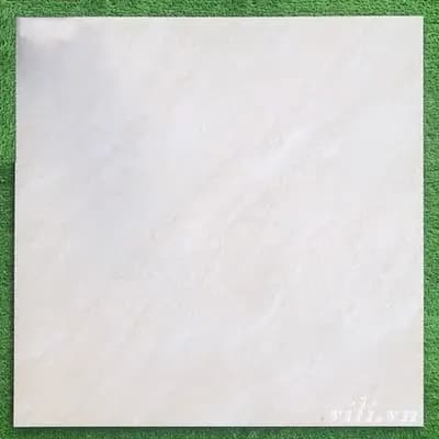 Gạch lát nền 60x60 Blue Dragon 6603 đá bóng