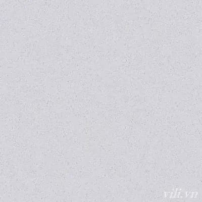 Gạch lát nền 60X60 Prime 9721 men mờ