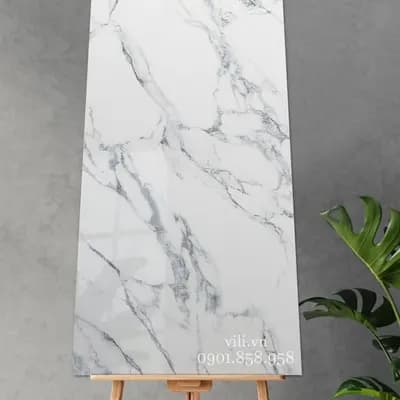 Gạch lát nền Feliz 80X160 VI6_9GP81601 bóng cao cấp