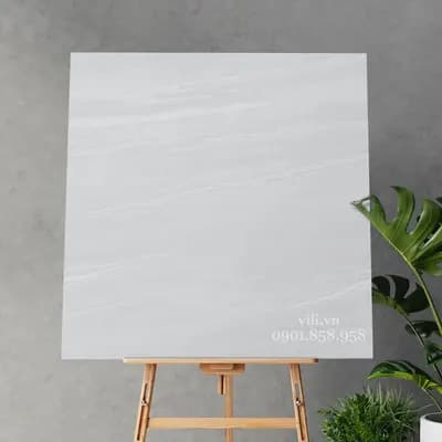 Gạch Lát Nền 80x80 Feliz 88802 Đá Mờ