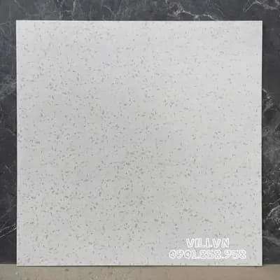 Gạch lát nền Terrazzo 60X60 S6002 đá mờ nhám