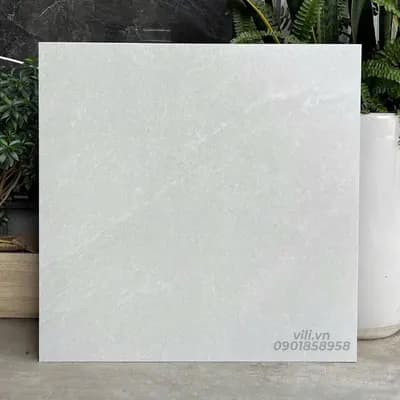 Gạch  Lát Nền 60X60 SMM66005 đá mờ