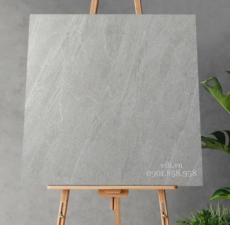 Gạch lát nền 60X60 Royal FL6010 đá mờ xám xi măng
