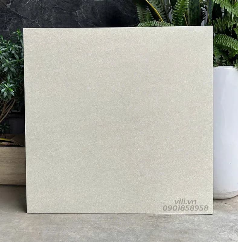 Gạch Lát Nền 60X60 SMM66003 đá mờ