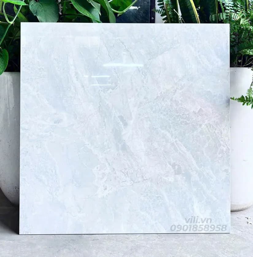 Gạch lát nền 60X60 đá bóng SMP66019