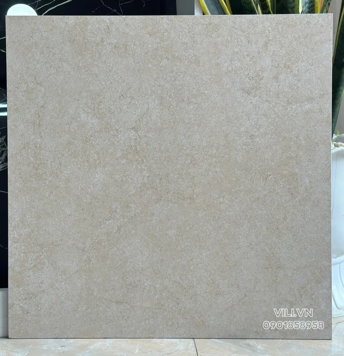 Gạch lát nền 60X60 Prime 25005 đá nhám