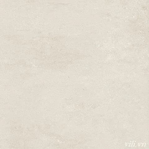 Gạch lát nền 60X60 Blue Dragon 11605 đá mờ