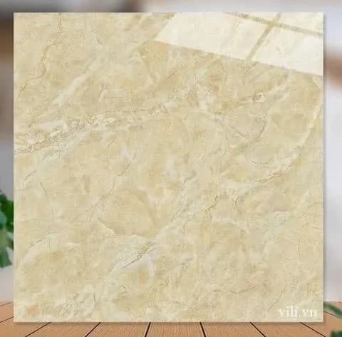 Gạch lát nền 60X60 Catalan 61040 men bóng