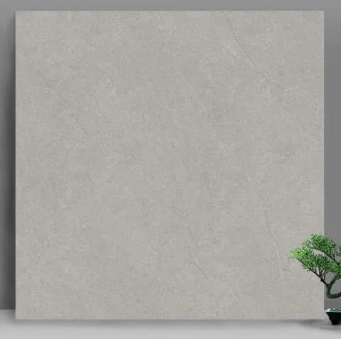 Gạch lát nền 60X60 Catalan 66022 đá nhám