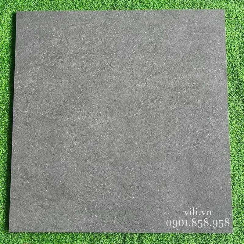 Gạch lát nền 60x60 Tasa 5162 đá mờ xám xi măng