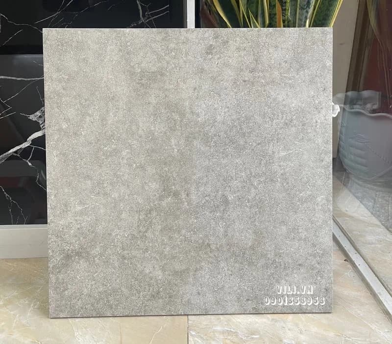 Gạch lát nền 60X60 TTC FM66011 xám xi măng men mờ