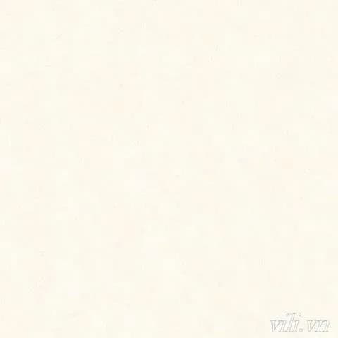 Gạch lát nền 80X80 Prime 8902