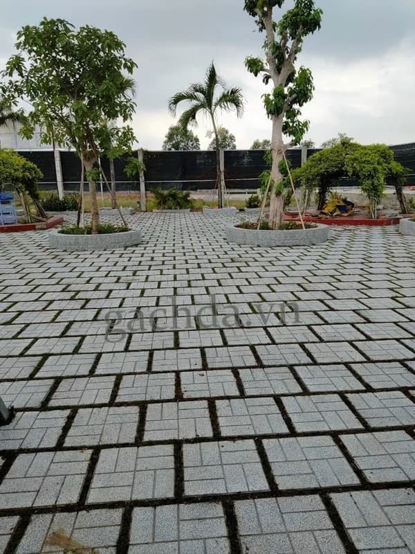 Gạch Lát Vỉa Hè 40x40 Terrazzo 8 Ô Xám