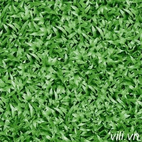 Gạch Sân Vườn 40X40 PRIME 1595