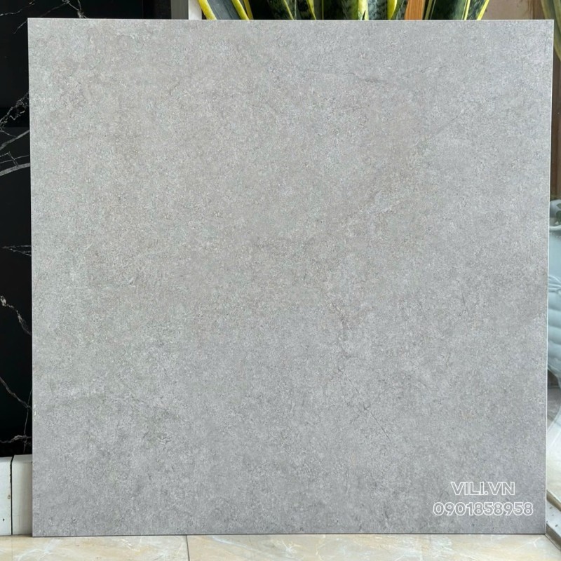 Gạch lát nền 60X60 Prime 25006 đá nhám