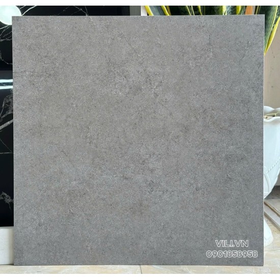 Gạch lát nền 60X60 Prime 25007 đá nhám