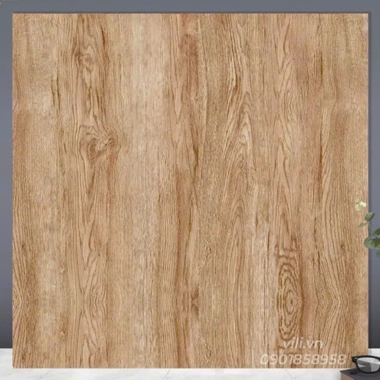 Gạch lát nền 60X60 TTC CM66203 men mờ