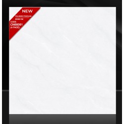 Gạch lát nền 60X60 CN66061_4FACE đá bóng
