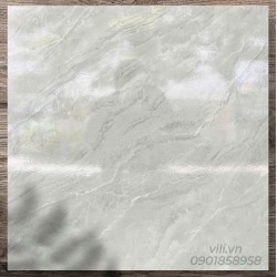 Gạch lát nền 60X60 TTC FB66040 men bóng