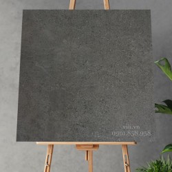 Gạch lát nền 60X60 Royal FL6001 đá mờ xám xi măng