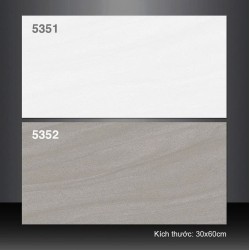 Gạch ốp tường 30X60 Tasa 5351 - 5352 đá mờ