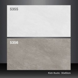 Gạch ốp tường 30X60 Tasa 5355 - 5356 đá mờ