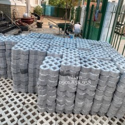 Gạch trồng cỏ 8 lỗ nhám