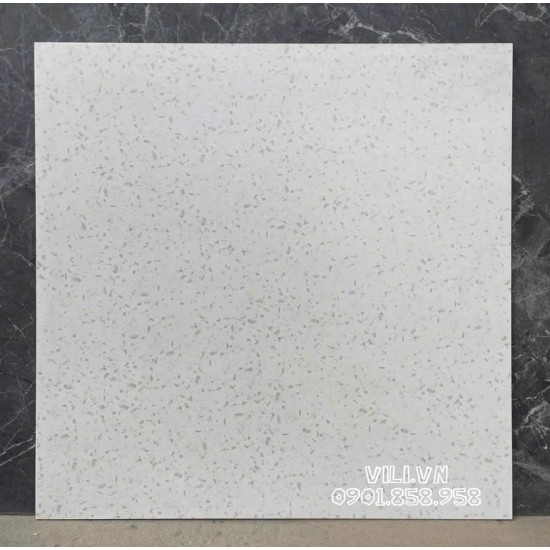 Gạch lát nền Terrazzo 60X60 S6002 đá mờ nhám