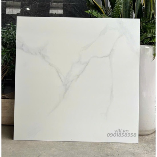 Gạch  Lát Nền 60X60 SMM66010 đá mờ